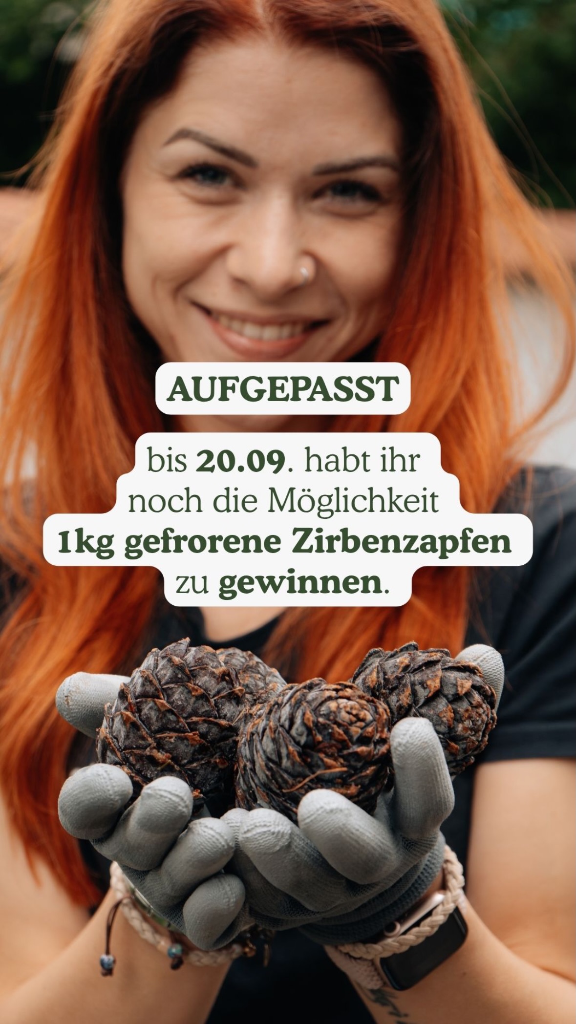 Neueste Story von Zirbenkissen | Zirbenkissen.shop